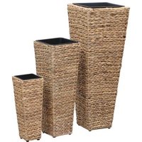 Conjunto de Arriates 3 Piezas Jacinto de Agua