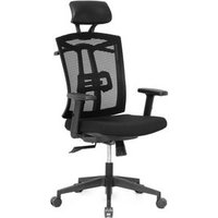 Silla Enus