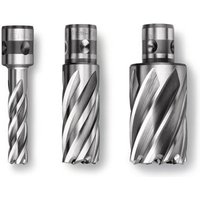 FEIN 63133210052 Corona HSS NOVA 50 con inserción QuickIN FEIN 63133210052 Corona HSS NOVA 50 con inserción QuickIN