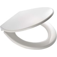 Asiento de Váter Miami Ridder