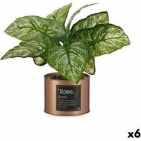 Planta Decorativa Home Cobre Lata (26 X 26 X 26 Cm) (6 Unidades) Planta Decorativa Home Cobre Lata (26 X 26 X 26 Cm) (6 Unidades)