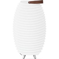 Kooduu Synergy 50s 2.0 Altavoz Bluetooth con Lámpara LED y Cubitera de 56cm