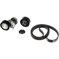 Correa de Acceso K016pk1613
