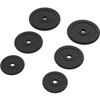Discos de Pesas de Hierro Fundido 30 kg - Vidaxl