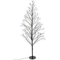 Árbol Iluminado Exterior con 1000 LEDs Blanco Cálido H120cm Árbol Iluminado Exterior con 1000 LEDs Blanco Cálido H120cm