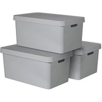 Caja de Almacenaje Curver Infinity 45 L (3 Unidades)