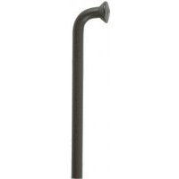 DT Swiss Radio Acodado DT Champion 2x282 mm Inoxidable Negro