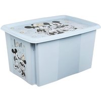 Caja de Almacenamiento 55.5 x 40 x 30 cm