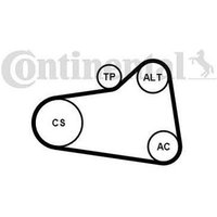 Contitech Kit De Cinturón 6pk905
