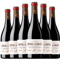 Vino Tinto Gran Feudo Hoya De Los Lobos Navarra Crianza 6x75cl Vino Tinto Gran Feudo Hoya De Los Lobos Navarra Crianza 6x75cl