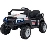 Buggy Champion de 4 Plazas Buggy Champion de 4 Plazas