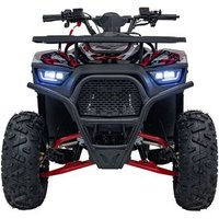 Cuatrimoto Discoverer 120cc