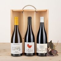 Pack 3 Vinos Brunus, Les Gallinetes y Abadal Selección