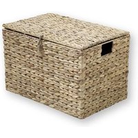 Baúl de Jacinto de Agua con Tapa