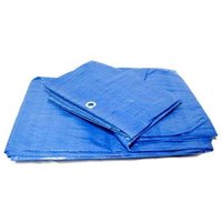 Toldo Polietileno Standard 8x12m