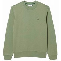 Sudadera de Algodón Lacoste