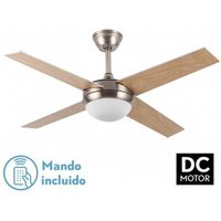 Ventilador DC Ciro