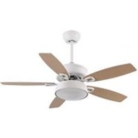 Akunadecor Ventilador de Techo Metal Braw