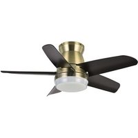 Akunadecor Ventilador de Techo Metal Dorado Neutron