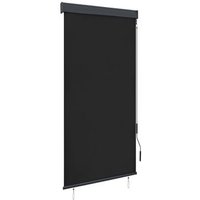 Estor Enrollable de Exterior Vidaxl 100x250 cm