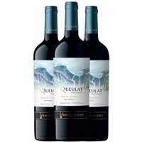 Vino Tinto Queulat Valle Gran Reserva