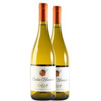 Vino Blanco Casta Blanca Valle De San Vicente 75 Cl