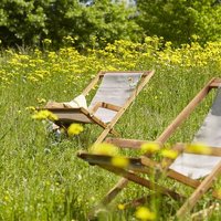 2 Tumbonas de Acacia y Textileno