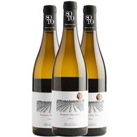 Pack 3 Botellas Vino Dominio Del Soto Crianza Blanco 75cl