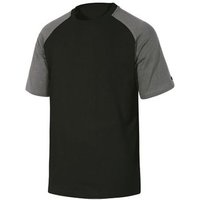 Camiseta Algodón T / L