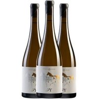Salado Vino Blanco Finca Las Yeguas Garrido Fino 75 Cl 13.7% Vol. Paquete de 3 unidades