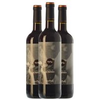 Masroig Vino Tinto Castell De Les Pinyeres Montsant Crianza 75cl (Pack 3 unidades)