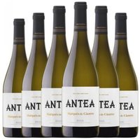 Marqués De Cáceres Vino Antea Fermentado En Barrica Rioja Crianza 75 Cl 12.5% Vol. (pack De 6 Unidades)