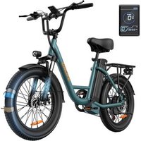 Bicicleta Eléctrica Urlife E20 250W 48V 13Ah 20'' Frenos de Disco