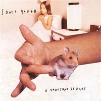 LP de Sonic Youth – A Thousand Leaves