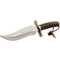 Cuchillo de Caza Muela Apache con Puño de Ciervo y Latón, Hoja Mova 19 cm