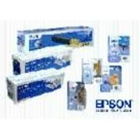Epson Cartucho de tinta T7022