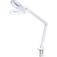 Eurostil Lupa Estética Fluorescente