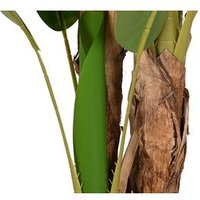 Planta Pe Cemento 90x90x290 Bananero