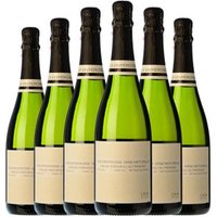 Els Vinyerons Pregadéu Ancestral Brut Penedès 75 Cl 12% Vol. (Paquete 6 unidades)