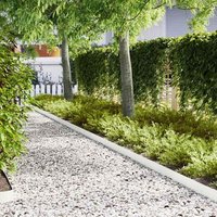 Bordes de acero para césped 20 piezas 100x05x15 cm