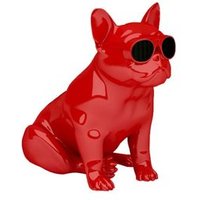 Aerobull Xs1 Altavoz Bluetooth Inalámbrico