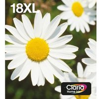 Epson Daisy Multipack 4 colores 18xl Easymail