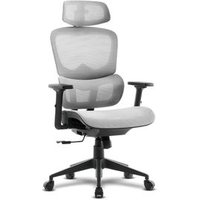 Silla de Oficina Ergonómica Offy Lyca