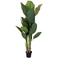 Maceta con Planta de 165 cm