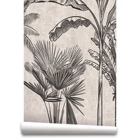 Mural Papel Pintado Manaos