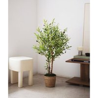 Olivo Artificial 105 cm