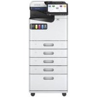 Bandeja de Entrada Epson 7113668