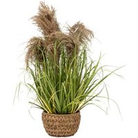 Planta Artificial en Maceta Maxime H80cm