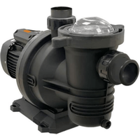 Bomba de filtración SSP 100 M