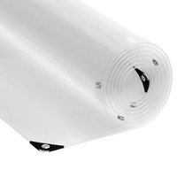 Lona Transparente Vidaxl PVC 4x8m